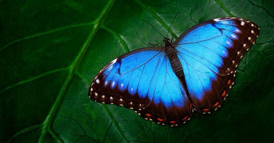 Il significato del colore blu