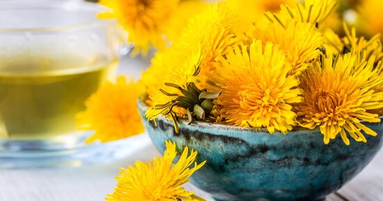 Il tarassaco in cucina per depurare il fegato