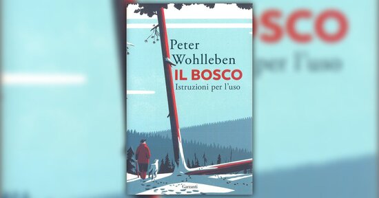 In giro per il bosco