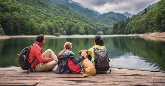 Viaggiare a sei zampe: guida completa per vacanze perfette con il tuo cane