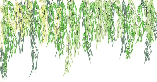 Insoddisfatto della tua vita? Willow è il fiore per te!