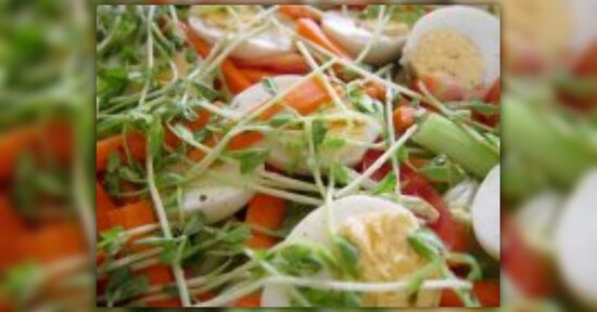 Intolleranze e allergie alimentari: come lo sostituisco?