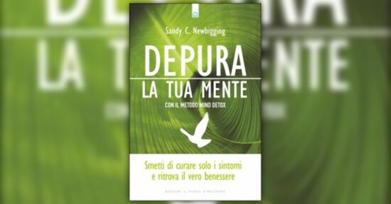 Introduzione - Depura la Tua Mente con il metodo Mind Detox - Libro di Sandra C. Newbigging