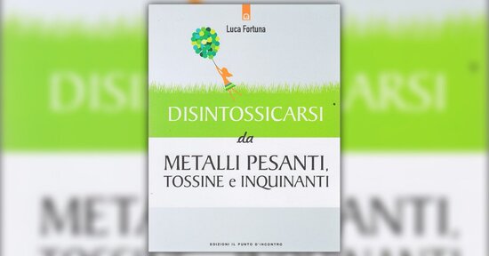 Introduzione - Disintossicarsi da Metalli Pesanti, Tossine e Inquinanti - Libro di Luca Fortuna