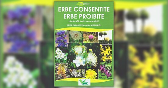 Introduzione - Erbe Consentite Erbe Proibite - Libro di Ida Salusso