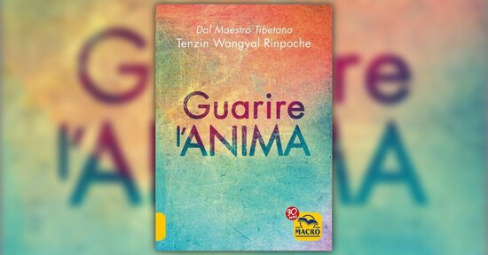 Introduzione - Guarire l'Anima - Libro di Tenzin Wangyal Rinpoche