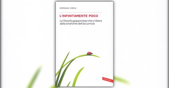 Introduzione - L'Infinitamente Poco - Libro di Dominique Loureau