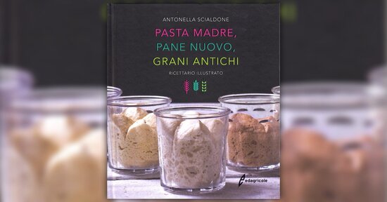 Introduzione - Pasta Madre, Pane Nuovo, Grani Antichi - Libro di Antonella Scialdone