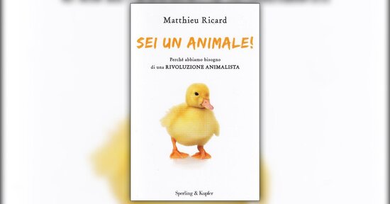 Introduzione - Sei un Animale! - Libro di Matthieu Ricard