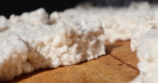 Koji: il fungo che sta rivoluzionando la nostra cucina