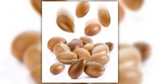 L’argan: un albero prezioso
