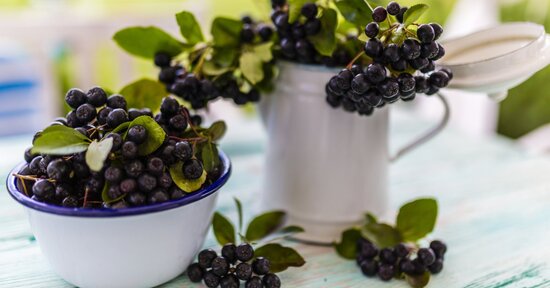 L'Aronia: proprietà e controindicazioni