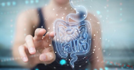 L’importanza delle fibre prebiotiche per migliorare lo stato del microbiota intestinale
