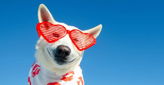 L'origine di San Valentino e del Carnevale: quali erano le vere finalità?