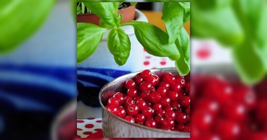 L’orto sul balcone: crearlo in poco spazio
