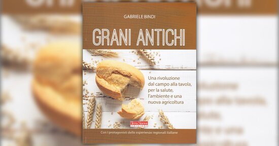La crisi del grano - Estratto dal libro "Grani Antichi"