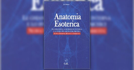 La ghiandola pineale - Estratto dal libro "Anatomia Esoterica"