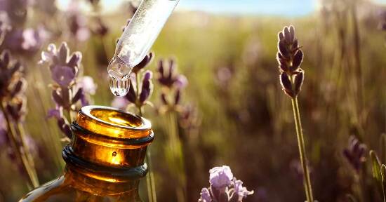 La natura è il profumiere