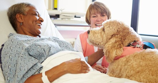 La pet therapy e i suoi benefici