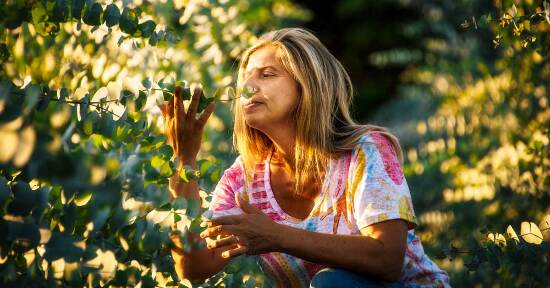 La Quinta Stagione: rimedi naturali per purificare corpo, mente e spirito in vista dell’autunno.