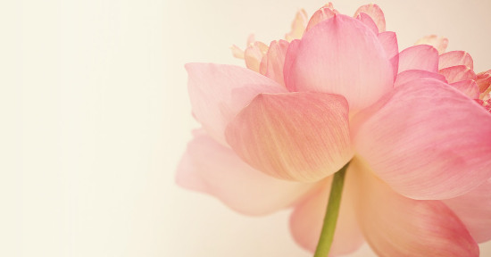 La vita spirituale, l'anima, l'amore divino, la realtà del Cosmo