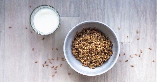 Latte vegetale di kamut® fatto in casa
