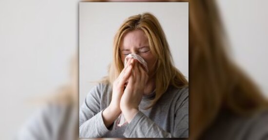 Le proprietà antinfiammatorie e immunoprotettive del Maqui