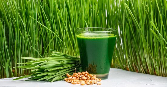 Le proprietà e i benefici dell'erba di grano