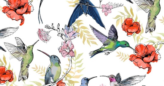 Le sette tecniche di disegno e la loro azione sull'anima e sugli organi principali