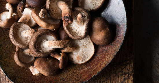 Lo Shiitake e l’Eritadenina