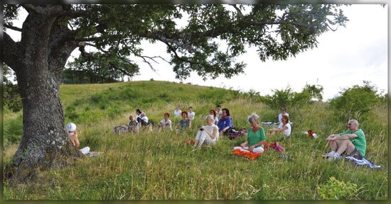 Lo yoga con gli alberi
