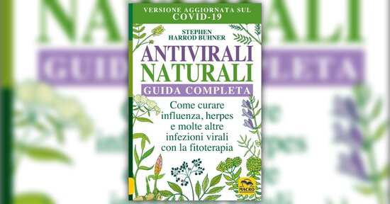Lo zenzero - Estratto da "Antivirali Naturali"