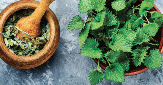 Macerati naturali per orto e giardino