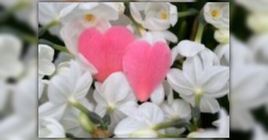 Massaggi fragranti per San Valentino