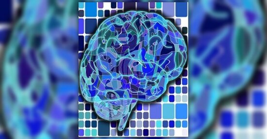 Meningite e sistema immunitario