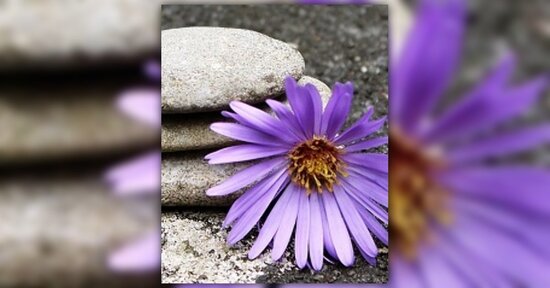 Meridiani energetici: cosa sono?