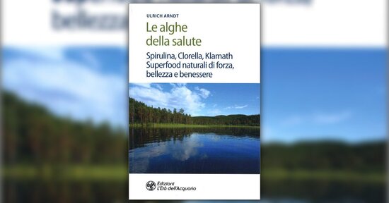 Microalghe: superfood e medicina allo stesso tempo