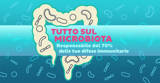 Tutto sul Microbiota: responsabile del 70% delle Difese Immunitarie