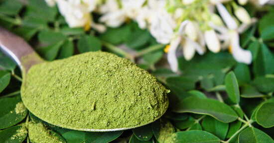 Moringa: il superfood dei miracoli