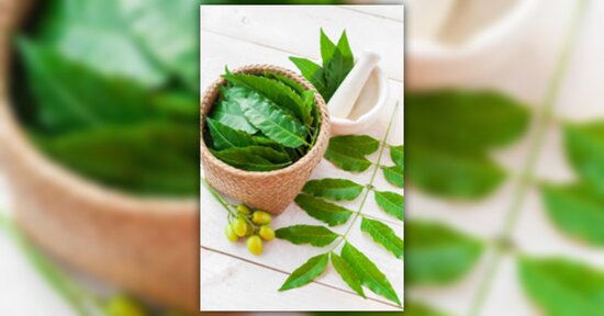 Neem: una pianta dalle mille proprietà