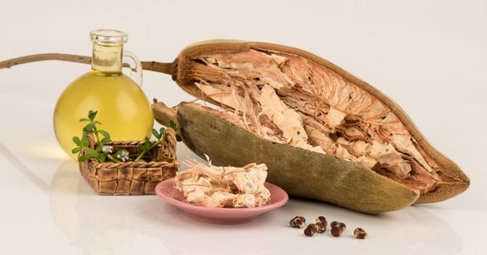 Olio di Baobab: usi e benefici