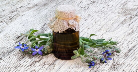 Olio di borragine: i benefici