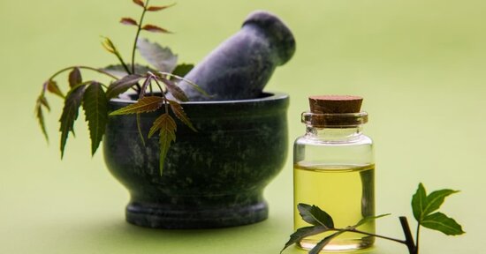Olio di neem: l'anti-acaro e il repellente naturale per gli insetti in casa