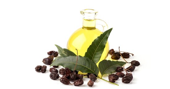 Olio di Neem: un prodotto, 10 usi