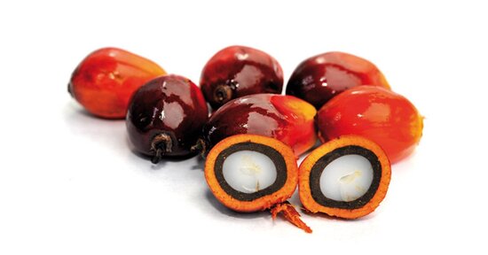 Olio di palma: è davvero pericoloso?