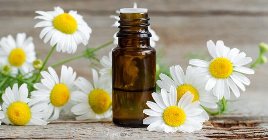 Olio essenziale di camomilla: proprietà e benefici