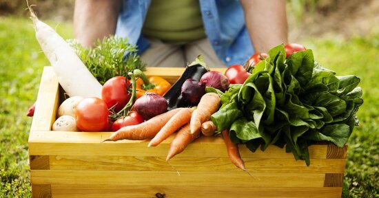 Organico o biologico: quali sono le differenze?