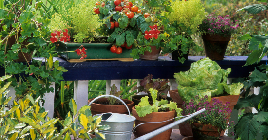 Orto verticale sul balcone