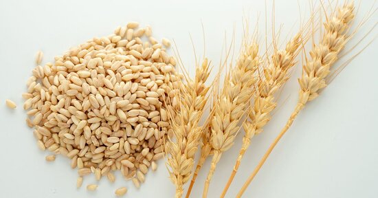 Orzo: tre ricette invernali