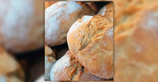 Pasta madre: cos’è e come usarla